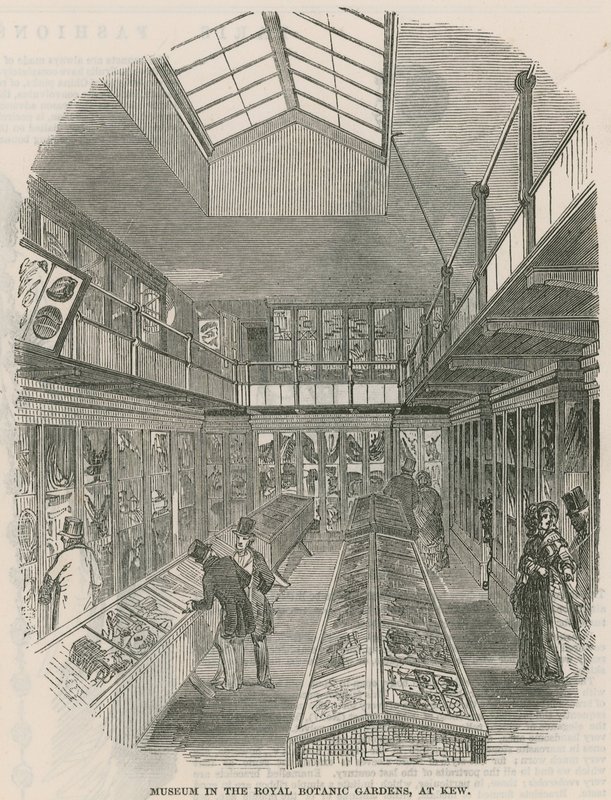 Museum in de Koninklijke Botanische Tuinen, in Kew door English School