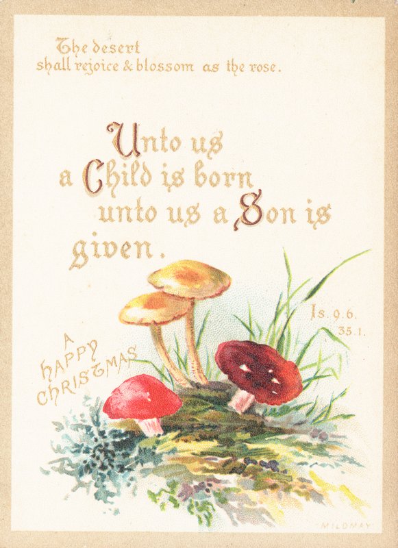 Paddenstoelen, kerstkaart door English School