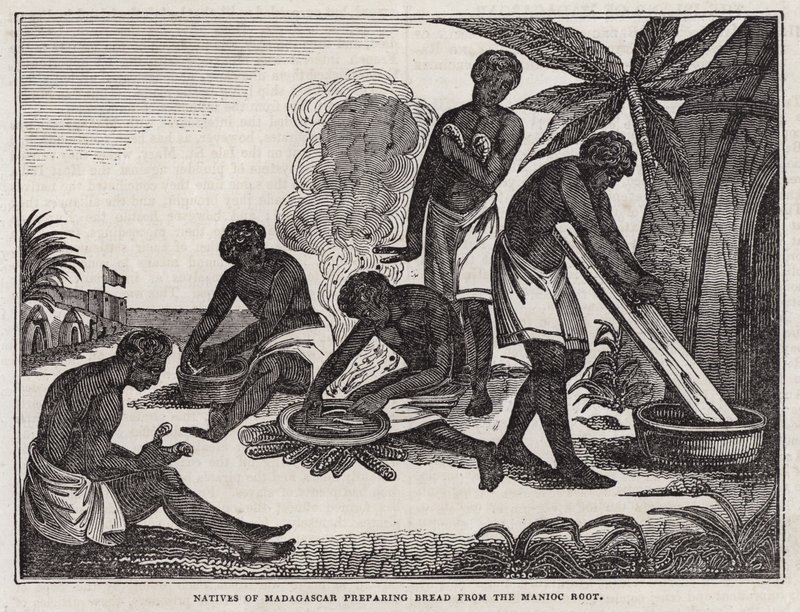 Inboorlingen van Madagaskar bereiden brood van maniokwortel door English School