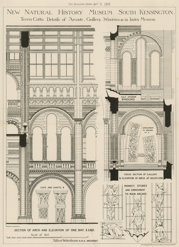 Nieuw Natuurhistorisch Museum, South Kensington, Londen door English School
