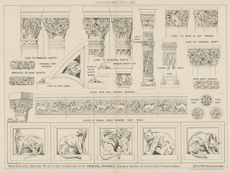 Nieuw Natuurhistorisch Museum, South Kensington, Londen door English School