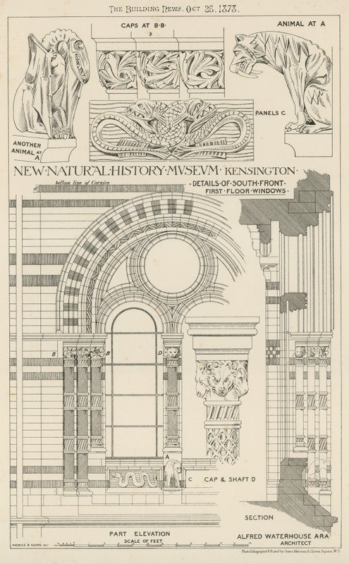 Nieuw Natuurhistorisch Museum, South Kensington, Londen door English School