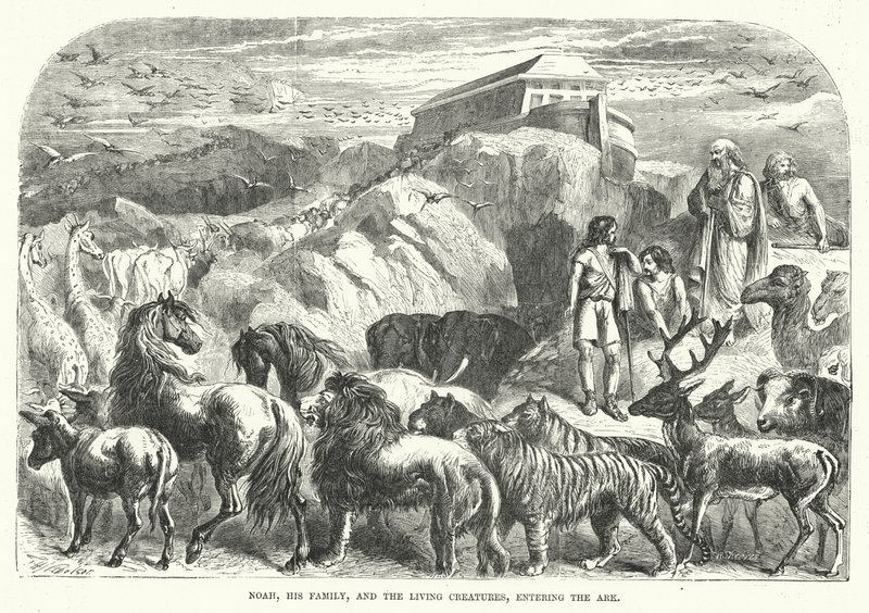 Noach, zijn familie en de levende wezens betreden de ark (gravure) door English School