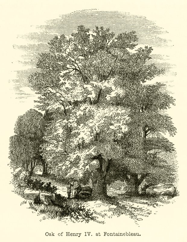 Eik van Hendrik IV, in Fontainebleau (gravure) door English School
