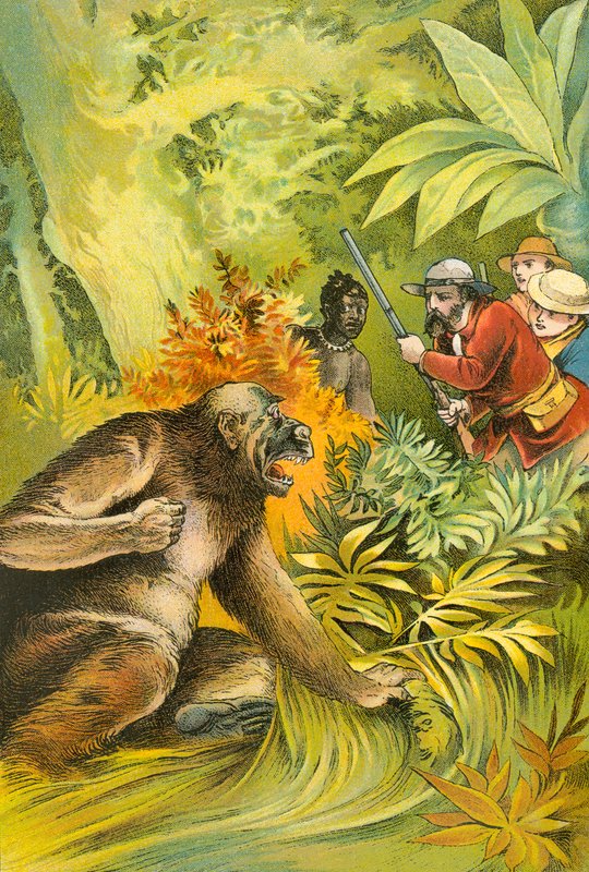 Onze eerste gorilla door English School