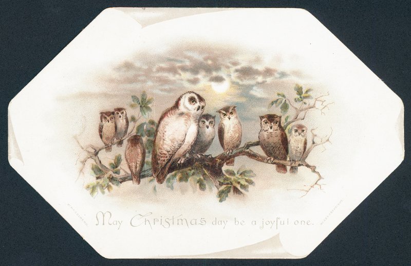 Uilen zittend op een tak, Kerstkaart door English School