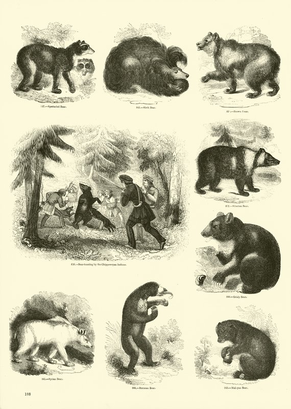 Pagina uit Het Picturale Museum van Geanimeerde Natuur door English School