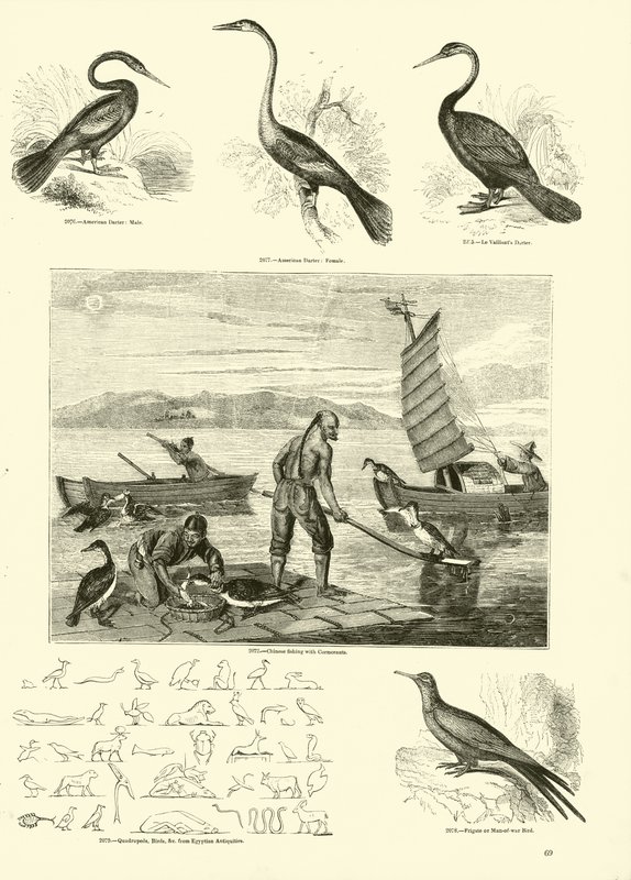 Pagina uit Het Picturale Museum van Geanimeerde Natuur door English School