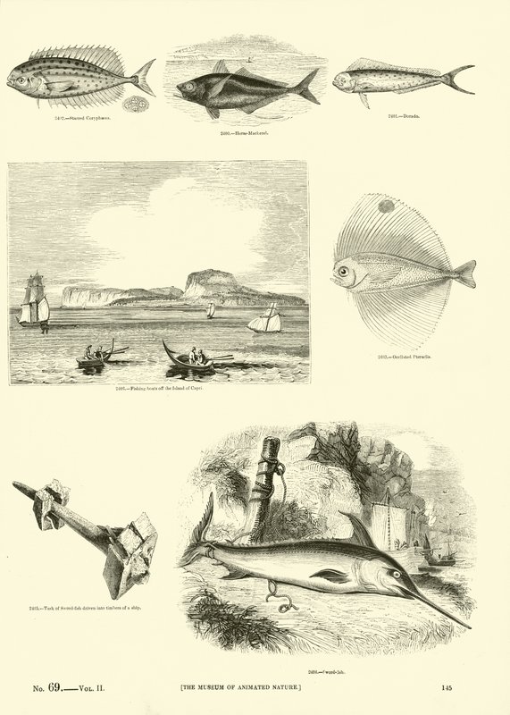 Pagina uit Het Picturale Museum van Geanimeerde Natuur door English School