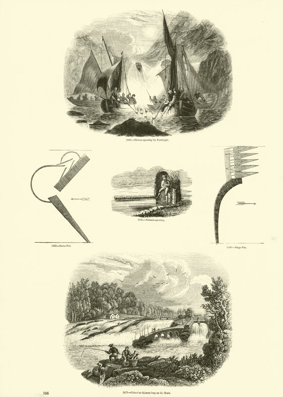 Pagina uit Het Picturale Museum van Geanimeerde Natuur door English School