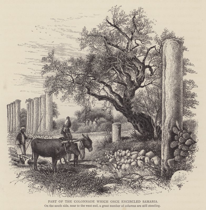 Deel van de Colonnade die ooit Samaria omcirkelde (gravure) door English School