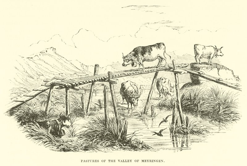 Weiden van de Vallei van Meyringen door English School