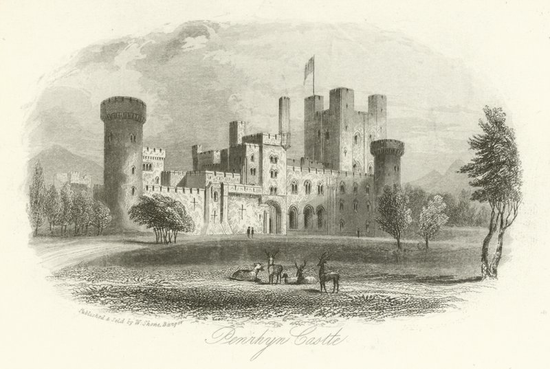 Penrhyn Castle, Llandygai, Wales door English School