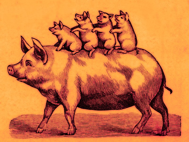Varken met biggen, illustratie uit Coles Funny Picture Book door English School