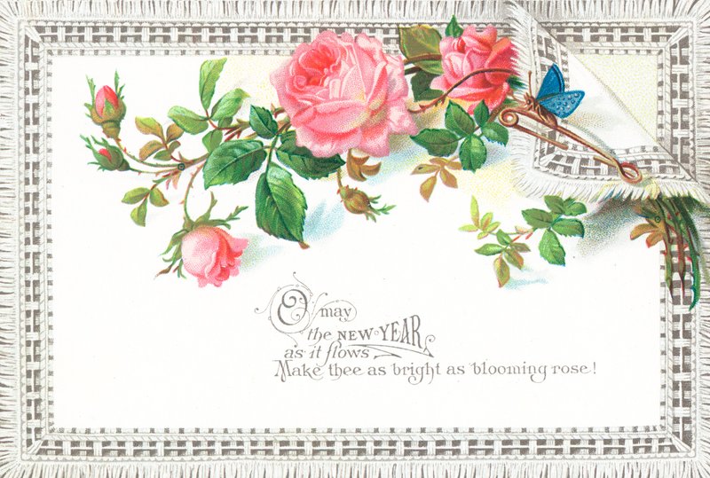 Roze rozen en blauwe vlinder door English School