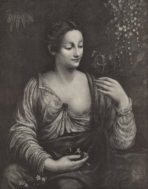 Portret van een jonge dame door English School