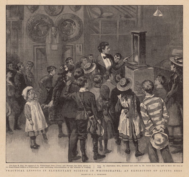 Praktische lessen in elementaire wetenschap in Whitechapel; Een tentoonstelling van levende bijen door English School