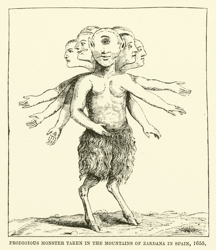 Wonderbaarlijk monster gevangen in de bergen van Zardana in Spanje, 1655 door English School