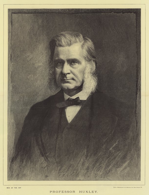 Professor Huxley door English School