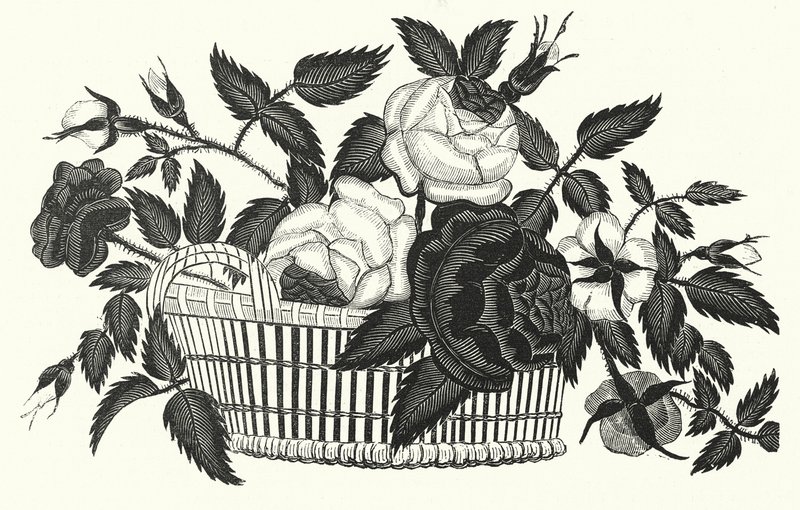 Psaligrafie, of schaartekening door English School