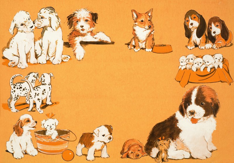 Puppyhonden door English School
