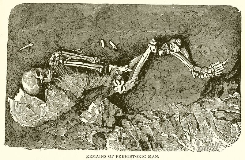 Overblijfselen van de prehistorische mens door English School