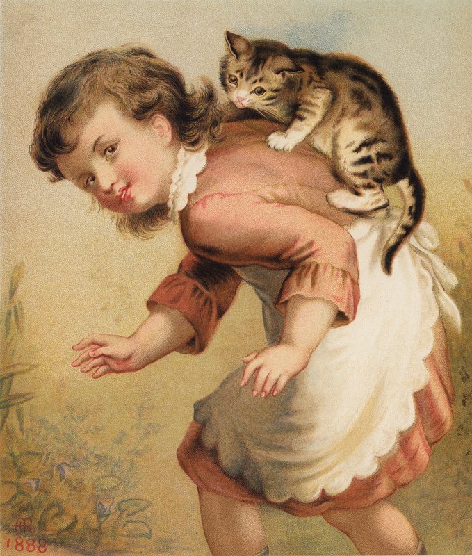 Rustig blijven, Mijn Kleine Poes / Wees Zeker dat Ik Je Niet Zal Slaan door English School