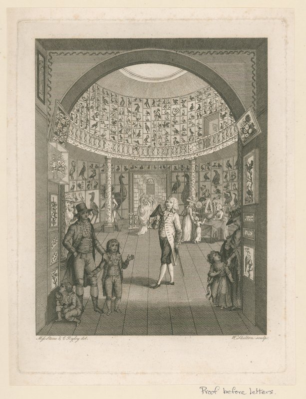 Rotunda in het Leverian Museum door English School