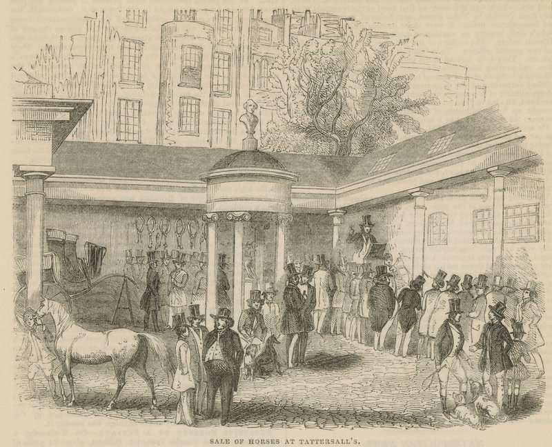 Verkoop van paarden bij Tattersalls door English School