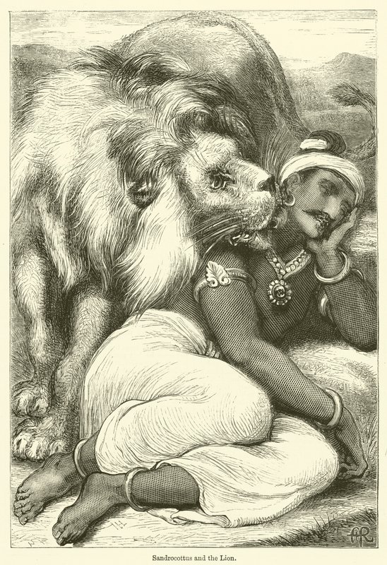 Sandrocottus en de Leeuw (gravure) door English School
