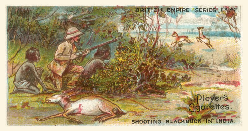 Blackbuck fotograferen in India (chromolitho) door English School