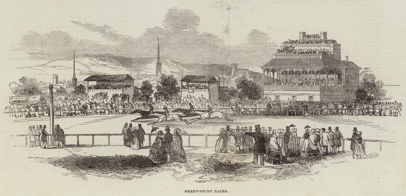 Shrewsbury Races door English School