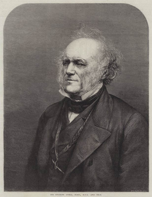 Sir Charles Lyell, baronet, DCL en FRS (gravure) door English School