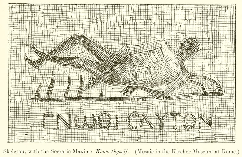 Skelet, met de Socratische spreuk: Ken uzelf. (Mozaïek in het Kircher Museum in Rome) door English School