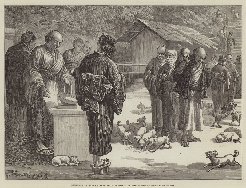 Schetsen in Japan, puppy