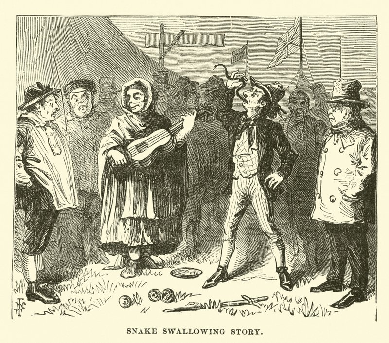 Slangenverhaal door English School