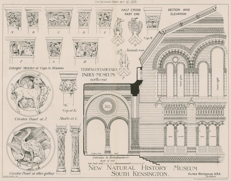Terracotta details van het nieuwe Natuurhistorisch Museum, South Kensington door English School