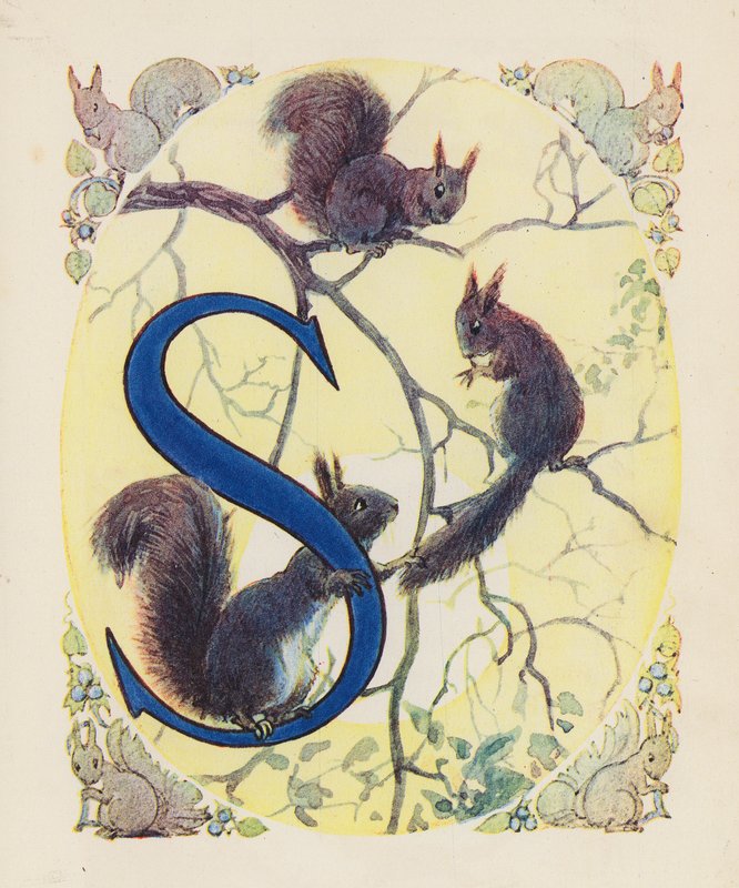 Het Dieren ABC: Letter S, Eekhoorn door English School