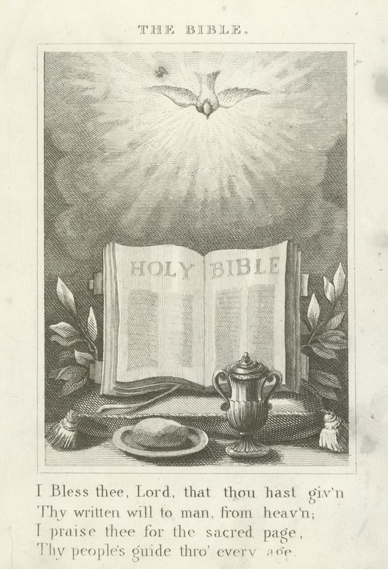 De Bijbel door English School