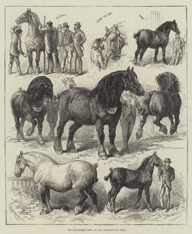 De Karthorsenshow in de Agricultural Hall (gravure) door English School