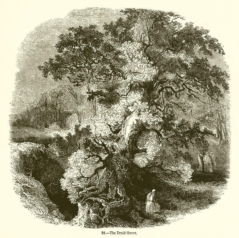 Het druïdenbos door English School