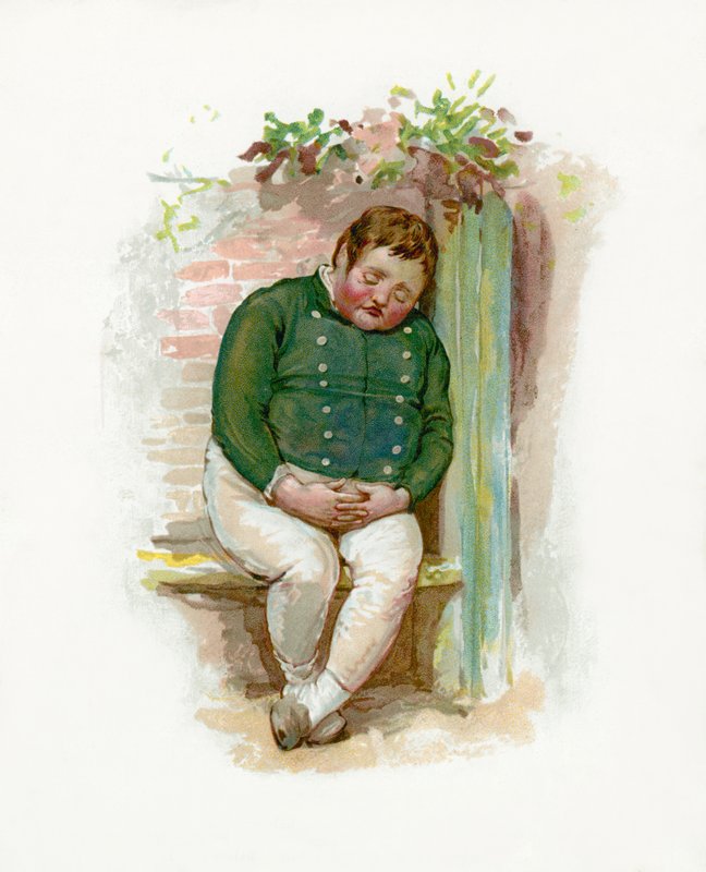 De Dikke Jongen, Pickwick Papers door English School