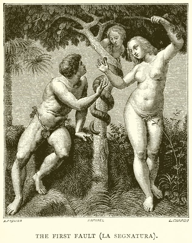 De Eerste Fout (La Segnatura) door English School