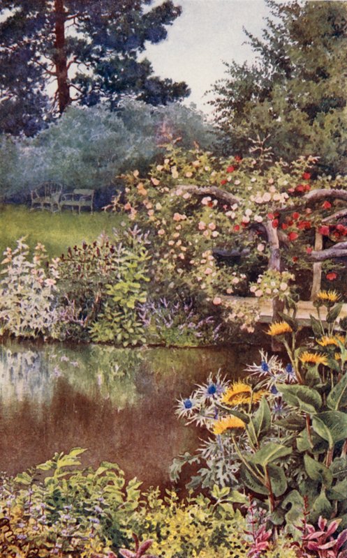 De kruidentuin: Kruiden aan het water door English School