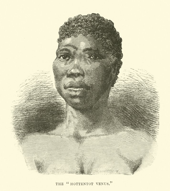 De Hottentot Venus door English School