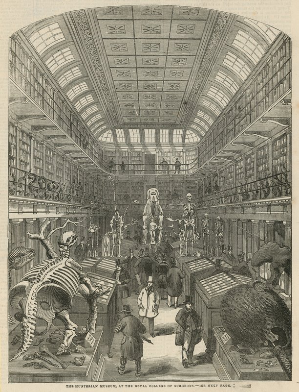 Het Hunterian Museum bij het Royal College of Surgeons door English School