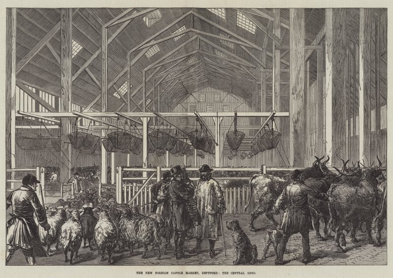De Nieuwe Buitenlandse Veemarkt, Deptford, de Centrale Schuur door English School