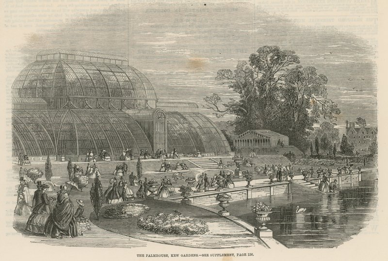Het Palmhuis, Kew Gardens, Londen door English School