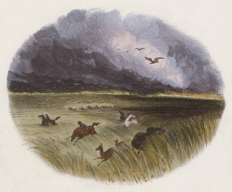 De prairie in brand door English School