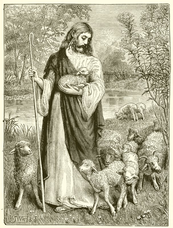 De Herder en de Lammeren door English School